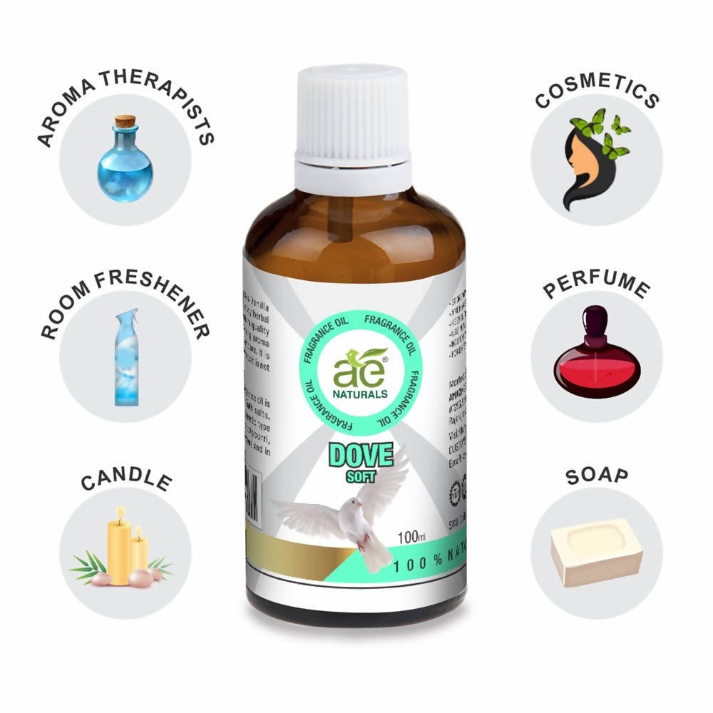 https://cdn.shopify.com/s/files/1/1857/6931/files/HlkzU7CLwo-537419.jpg?v=1736143743