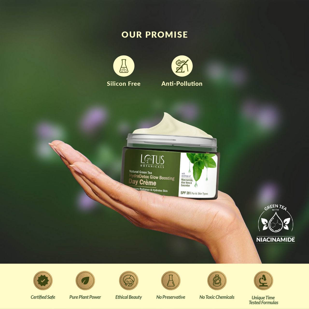 https://cdn.shopify.com/s/files/1/1857/6931/files/Ho0h6PxZvX.png?v=1720503512