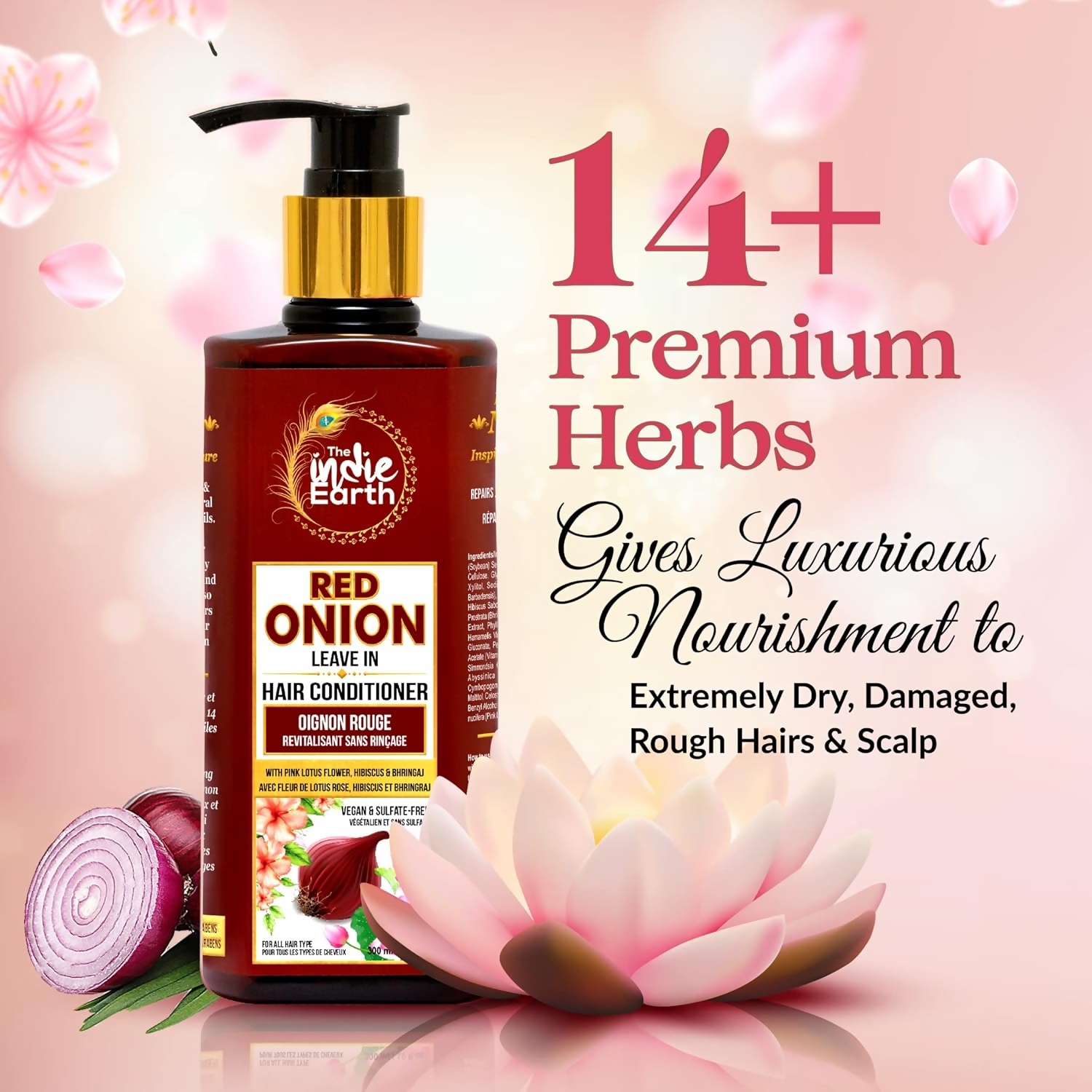 https://cdn.shopify.com/s/files/1/1857/6931/files/HoyCwhEZa6.png?v=1719895976