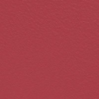 https://cdn.shopify.com/s/files/1/1857/6931/files/HpGP3lIpwr.png?v=1738233046