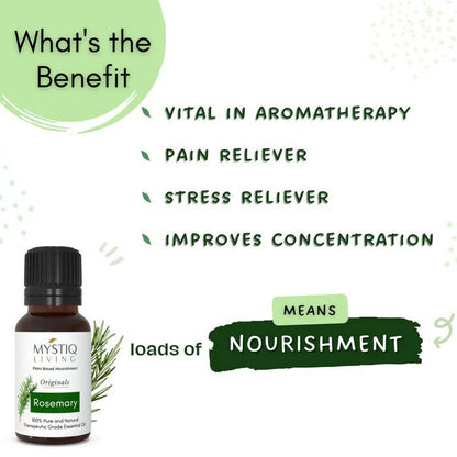 https://cdn.shopify.com/s/files/1/1857/6931/products/HqiKRMZ4B9.jpg?v=1664361225