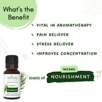 https://cdn.shopify.com/s/files/1/1857/6931/products/HqiKRMZ4B9.jpg?v=1664361225