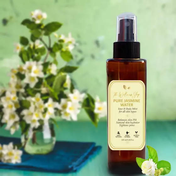 https://cdn.shopify.com/s/files/1/1857/6931/products/Hy4FTKbycr.jpg?v=1633055669