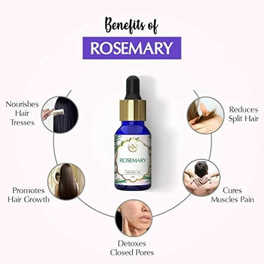 https://cdn.shopify.com/s/files/1/1857/6931/products/Hyt97LV5Z9.jpg?v=1662100346