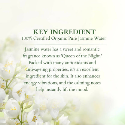https://cdn.shopify.com/s/files/1/1857/6931/products/Hzgc5mUbq1.jpg?v=1697116789