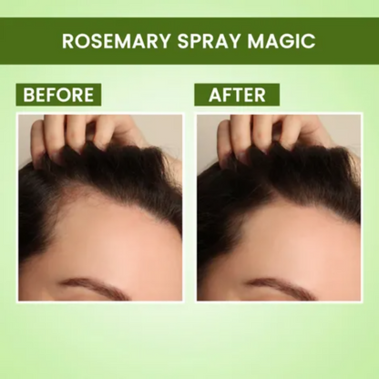 https://cdn.shopify.com/s/files/1/1857/6931/files/I1BmIxvSMO.png?v=1769669018