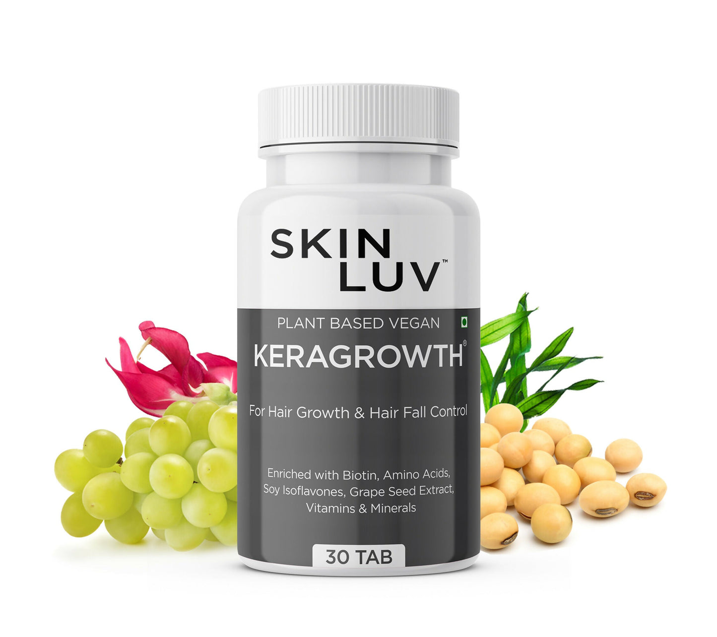 https://cdn.shopify.com/s/files/1/1857/6931/files/I96FvQh6Ha.jpg?v=1735282120