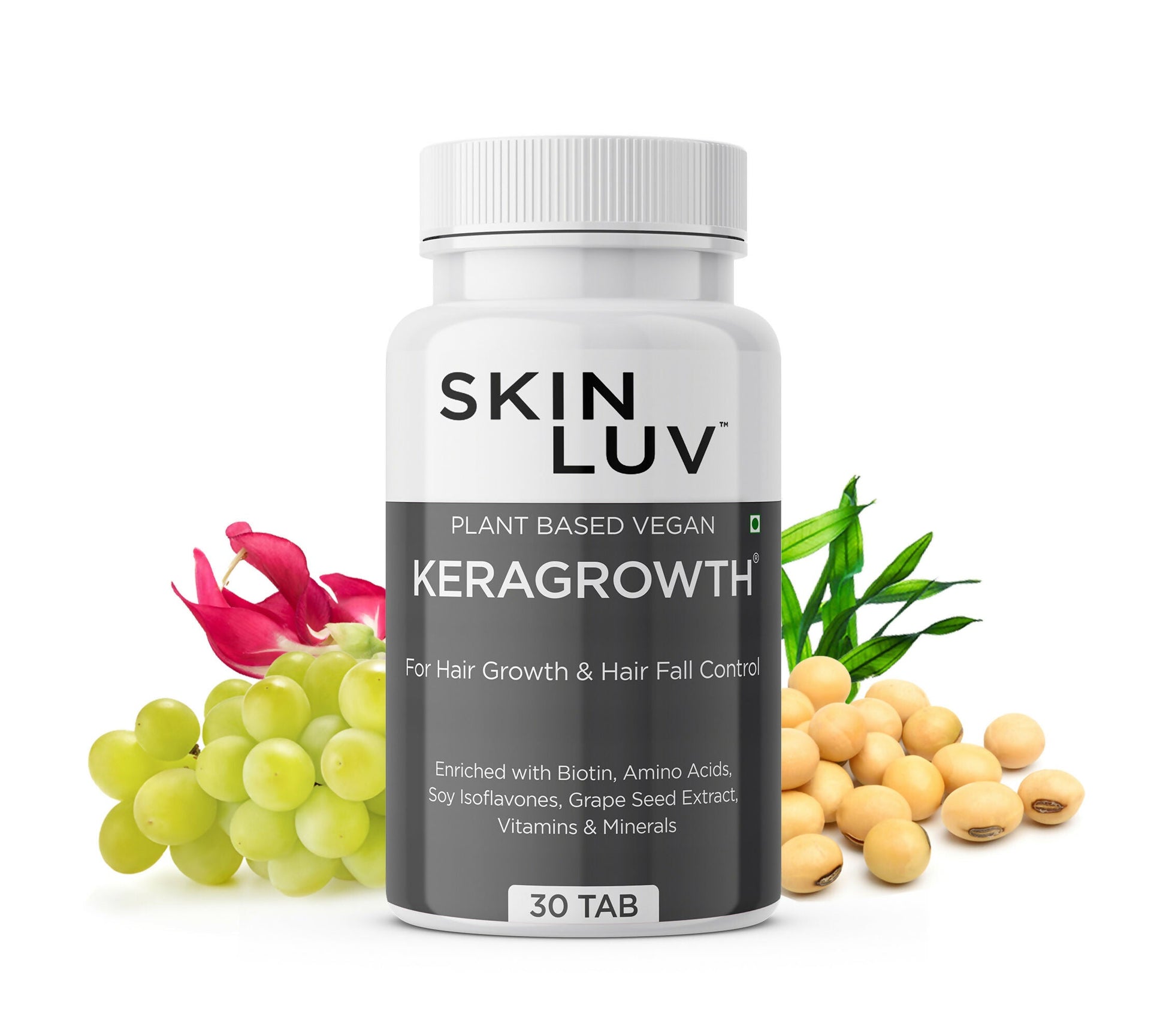 https://cdn.shopify.com/s/files/1/1857/6931/files/I96FvQh6Ha.jpg?v=1735282120