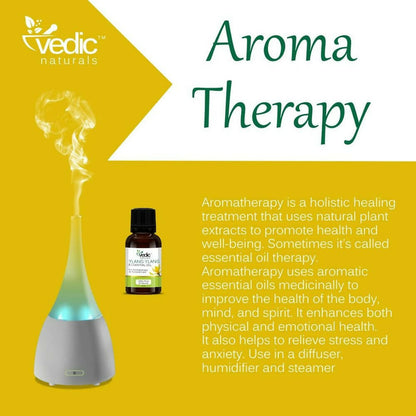 https://cdn.shopify.com/s/files/1/1857/6931/products/IBqFVAE6GH.jpg?v=1694514930