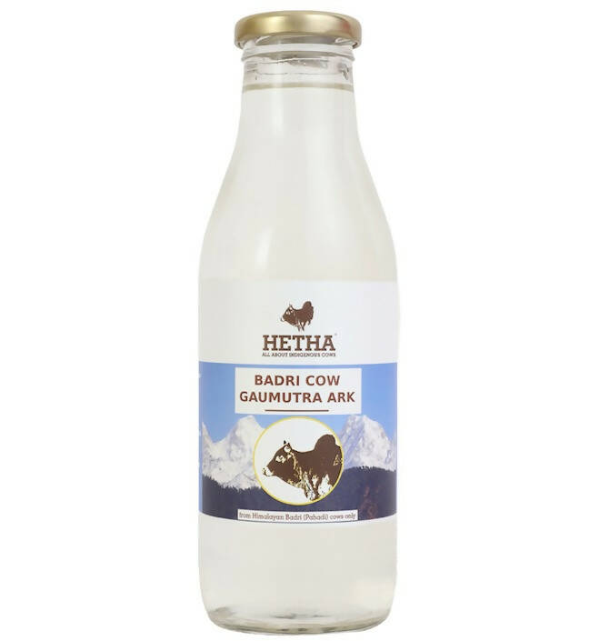 https://cdn.shopify.com/s/files/1/1857/6931/products/IDUA7g93Lh.jpg?v=1762423830