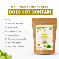 https://cdn.shopify.com/s/files/1/1857/6931/files/IEGm2tSn4p.png?v=1729769510