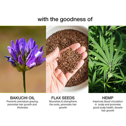 https://cdn.shopify.com/s/files/1/1857/6931/files/IEHsYFjf27.jpg?v=1760089189
