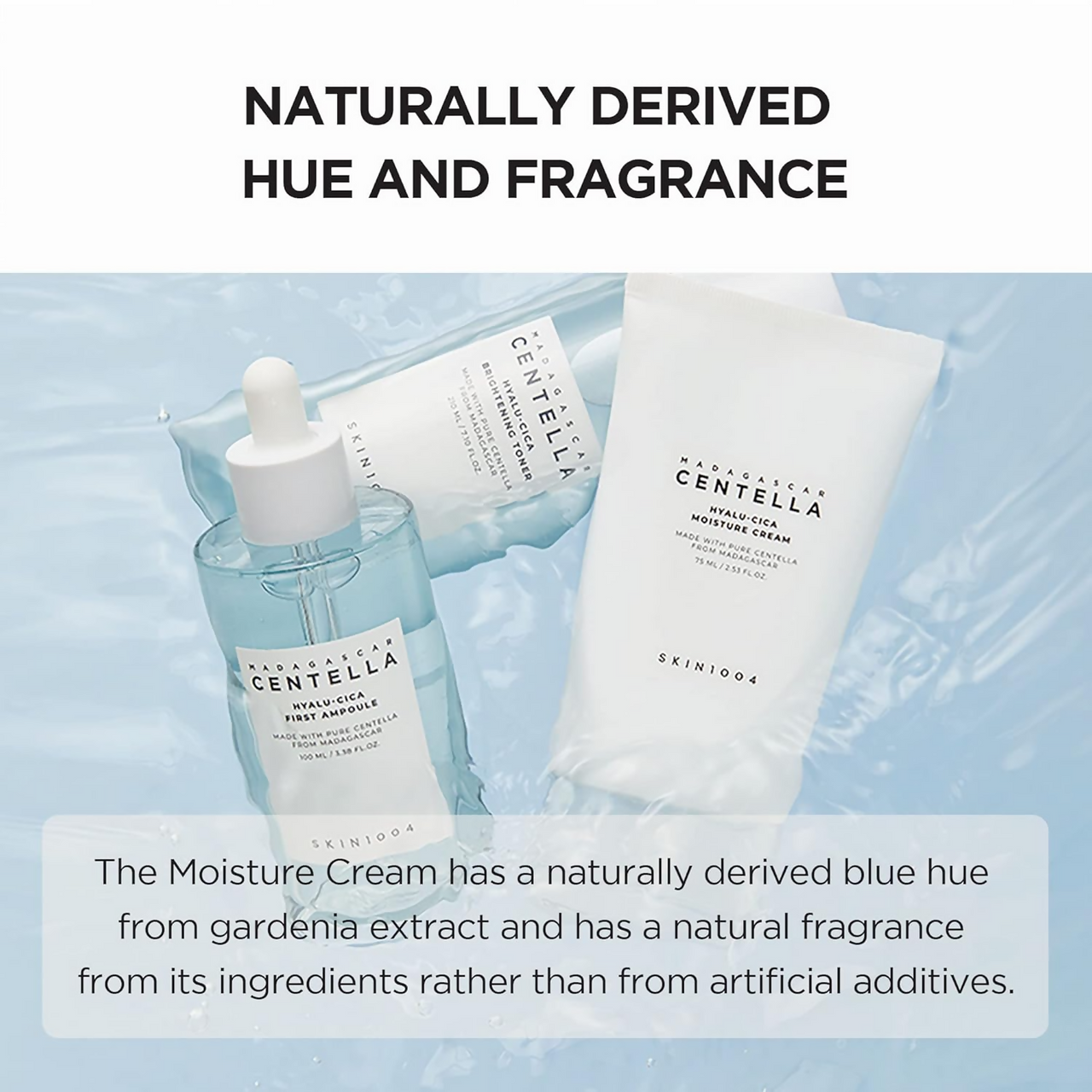 https://cdn.shopify.com/s/files/1/1857/6931/files/IEthJWEf3J.png?v=1736596052
