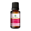 https://cdn.shopify.com/s/files/1/1857/6931/products/IJCJteK2zu.jpg?v=1759347314