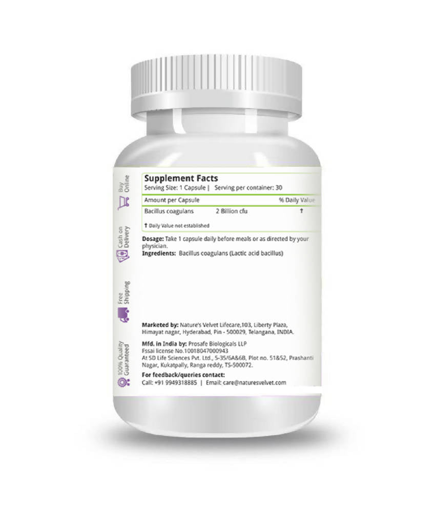 https://cdn.shopify.com/s/files/1/1857/6931/products/IPoGUS3EZB.jpg?v=1642591884