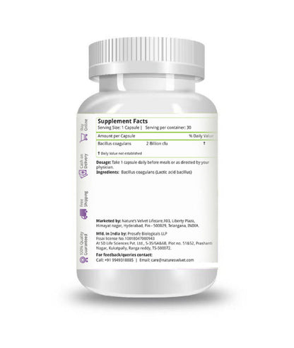 https://cdn.shopify.com/s/files/1/1857/6931/products/IPoGUS3EZB.jpg?v=1642591884