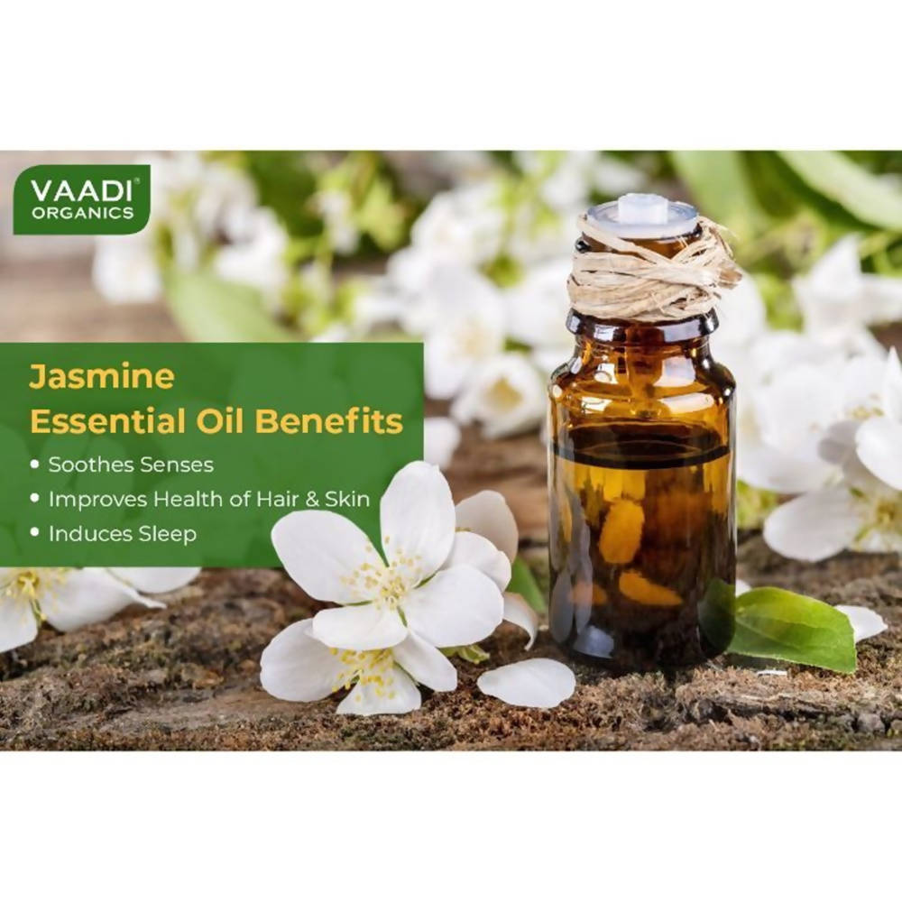 https://cdn.shopify.com/s/files/1/1857/6931/products/IQGdCsxSiw.jpg?v=1617935366