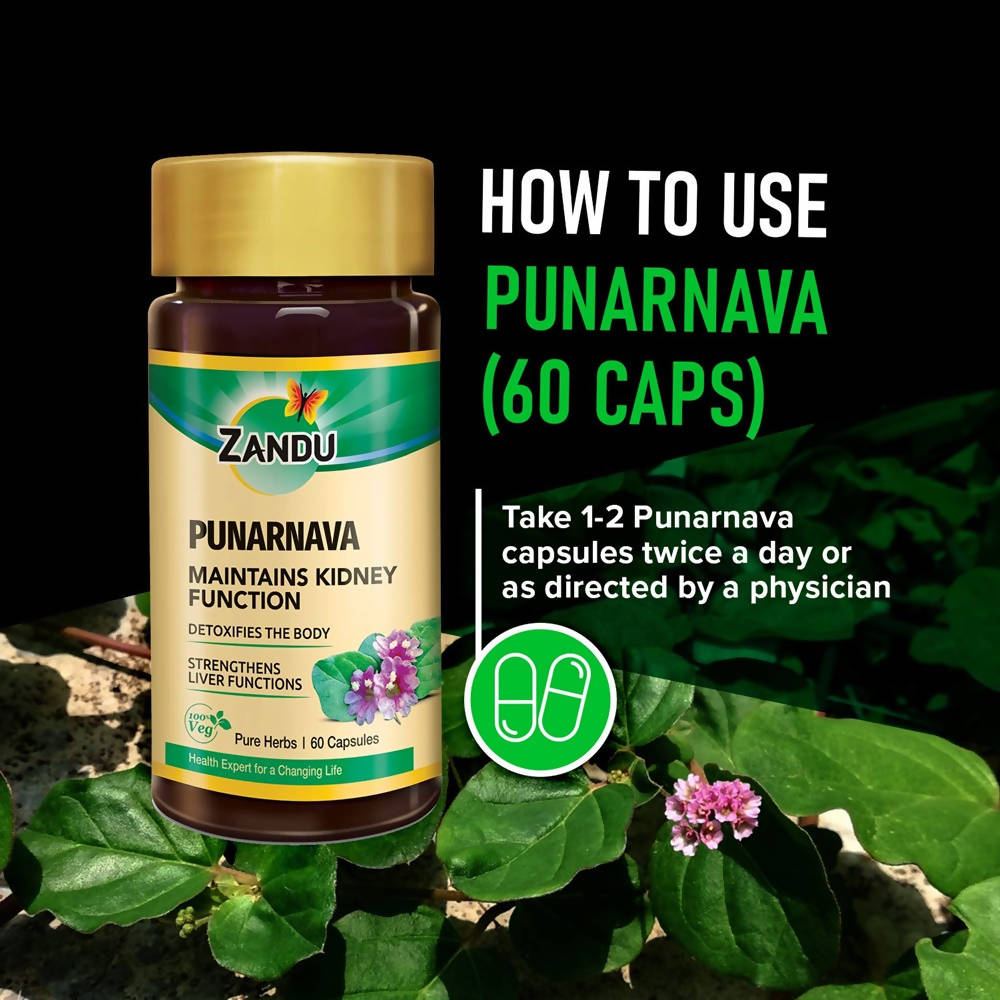 https://cdn.shopify.com/s/files/1/1857/6931/products/IQtATYAVWz.jpg?v=1625192852