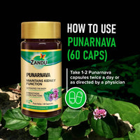https://cdn.shopify.com/s/files/1/1857/6931/products/IQtATYAVWz.jpg?v=1625192852