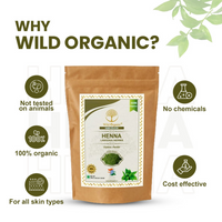 https://cdn.shopify.com/s/files/1/1857/6931/files/ISX3Bbxszw.png?v=1729769569