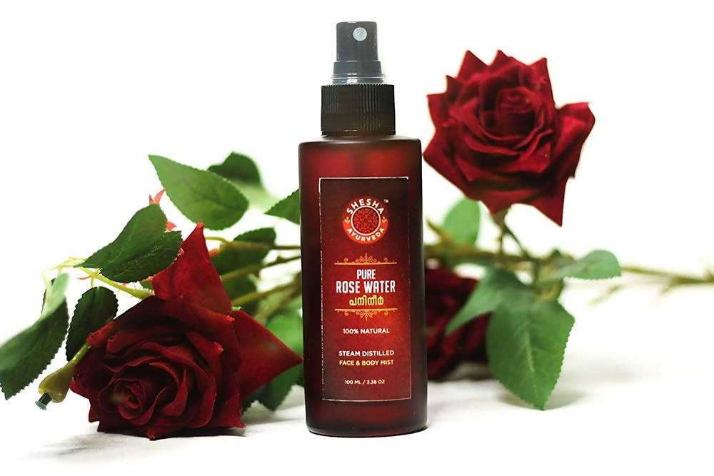 https://cdn.shopify.com/s/files/1/1857/6931/products/IThpYEQpE0.jpg?v=1638257573