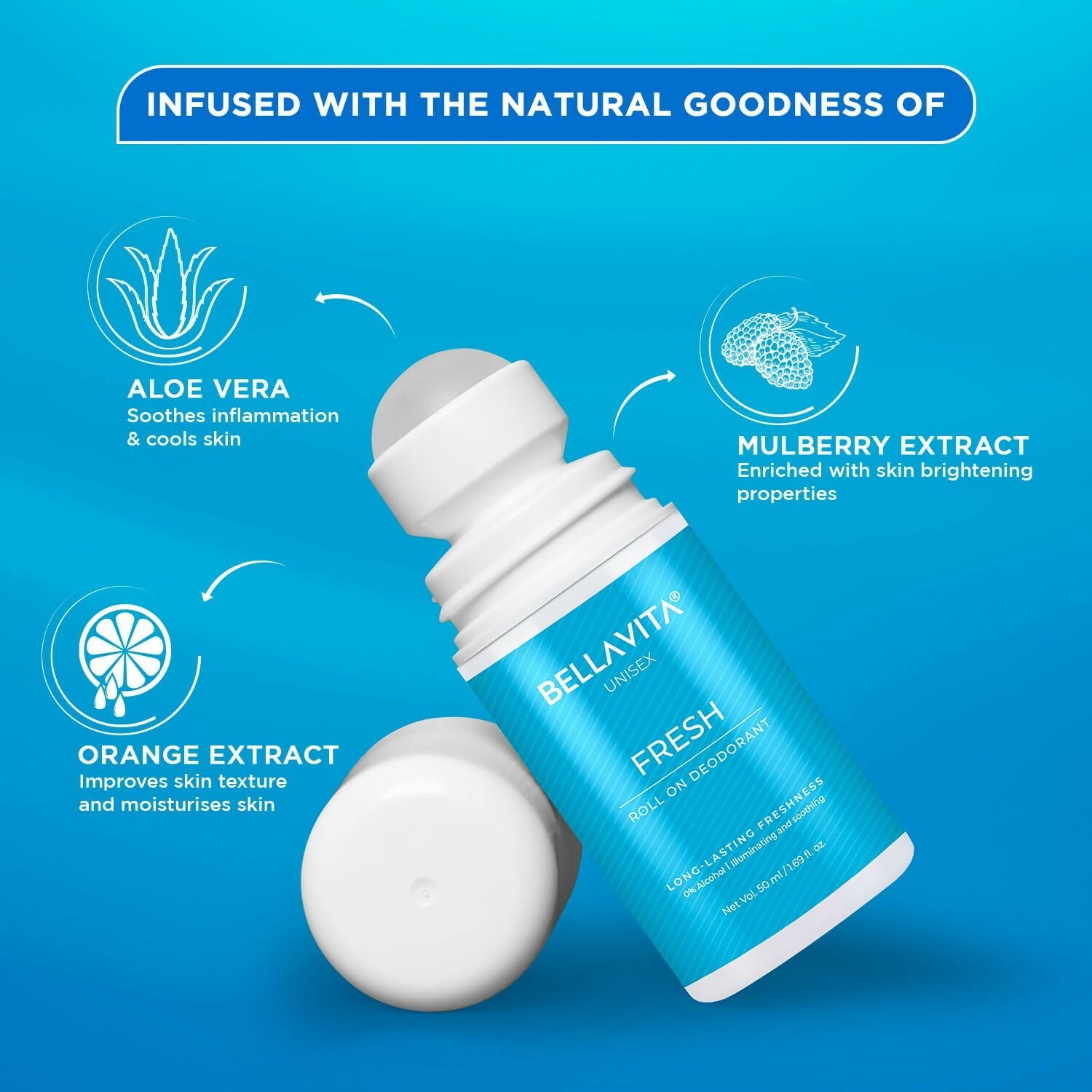 https://cdn.shopify.com/s/files/1/1857/6931/files/IV2gHbxBev.jpg?v=1729166441