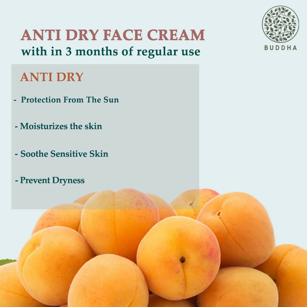 https://cdn.shopify.com/s/files/1/1857/6931/products/IXZsCvKLdy.jpg?v=1677576802