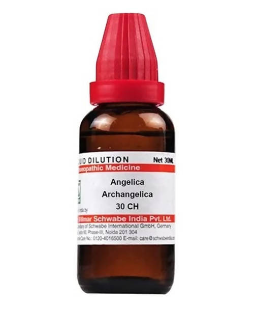 https://cdn.shopify.com/s/files/1/1857/6931/products/IYfXlonNWV.jpg?v=1640930294