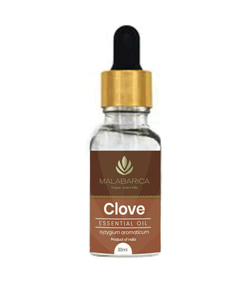 https://cdn.shopify.com/s/files/1/1857/6931/products/IfgSdjn7Q0.jpg?v=1667644428
