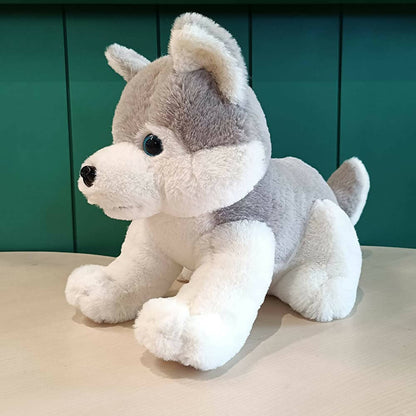 https://cdn.shopify.com/s/files/1/1857/6931/products/Ih1UVeN7CB.jpg?v=1666249839