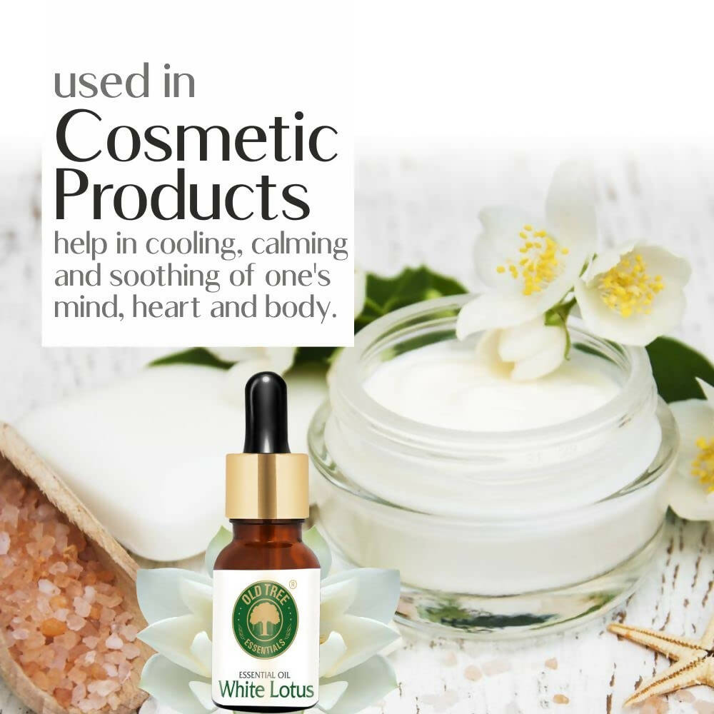 https://cdn.shopify.com/s/files/1/1857/6931/products/IjLTwydzp4.jpg?v=1683719901