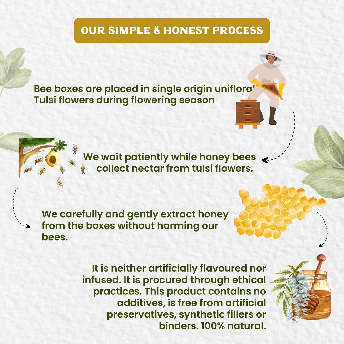 https://cdn.shopify.com/s/files/1/1857/6931/files/Image5_2437389d-fc05-4203-b345-e6e9159f2700.jpg?v=1775124422