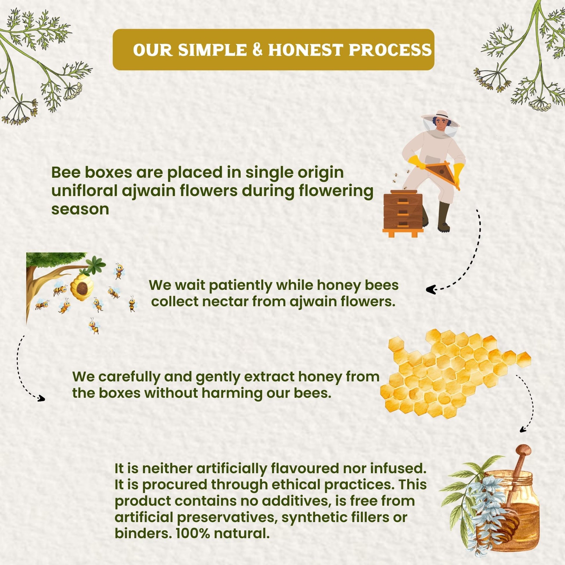 https://cdn.shopify.com/s/files/1/1857/6931/files/Image5_d15343ad-340f-492b-8cd9-49f55af9977b.jpg?v=1775124456