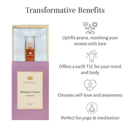 https://cdn.shopify.com/s/files/1/1857/6931/files/Imu5gw0jFZ.png?v=1724326632