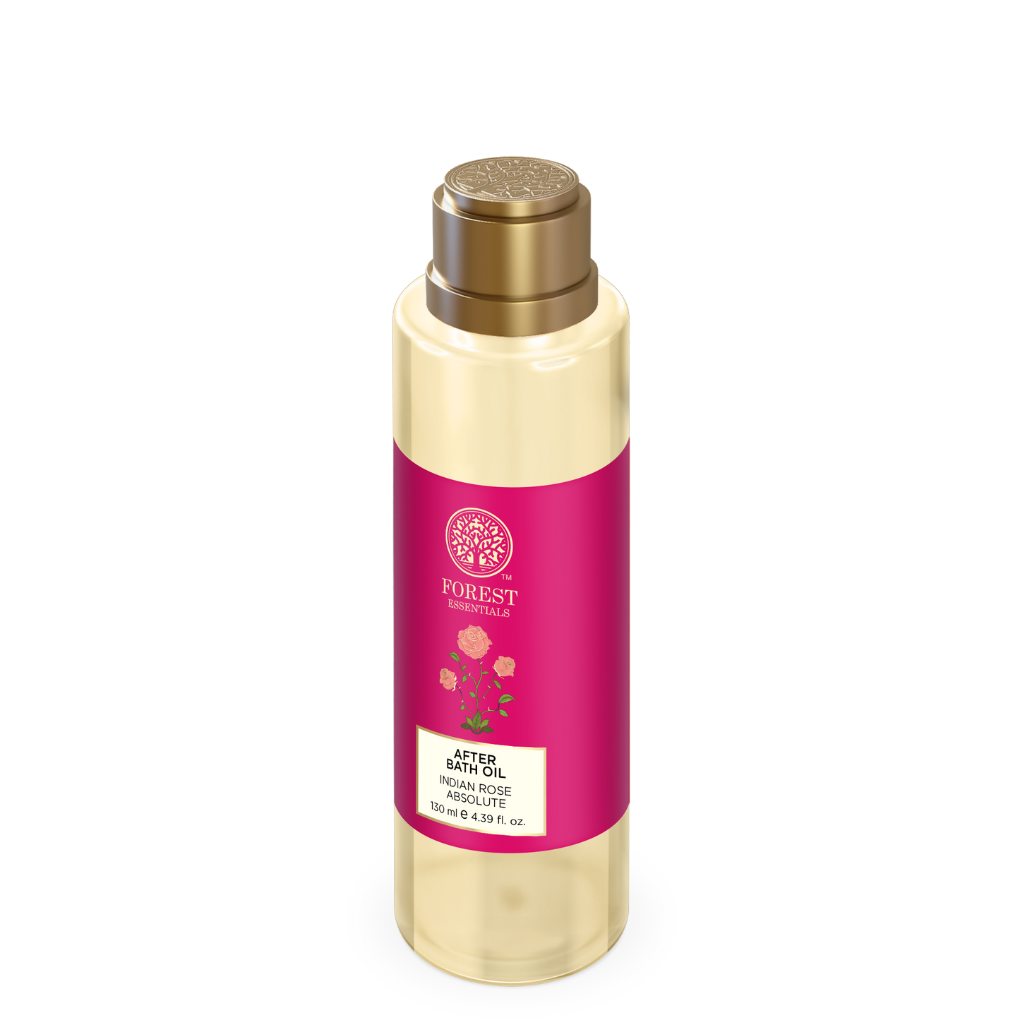 https://cdn.shopify.com/s/files/1/1857/6931/files/IpJlJqJm5g.png?v=1765445339