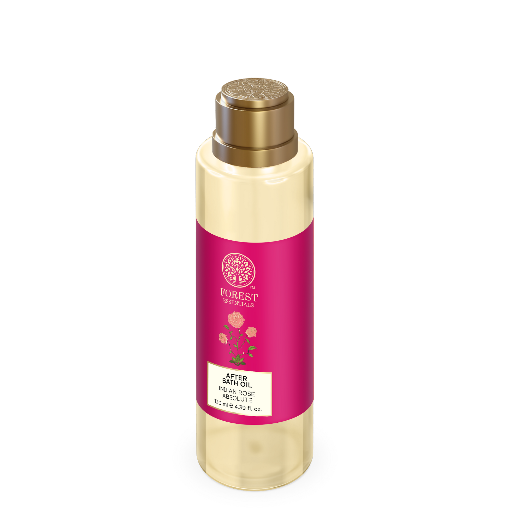 https://cdn.shopify.com/s/files/1/1857/6931/files/IpJlJqJm5g.png?v=1765445339