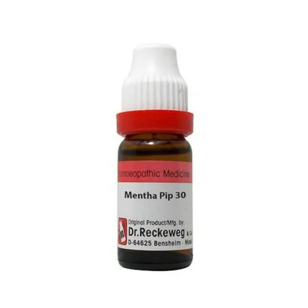 https://cdn.shopify.com/s/files/1/1857/6931/products/IspJ8em8St.jpg?v=1679135023