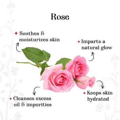 https://cdn.shopify.com/s/files/1/1857/6931/files/IxHkyDjzD5-581385.jpg?v=1736146742