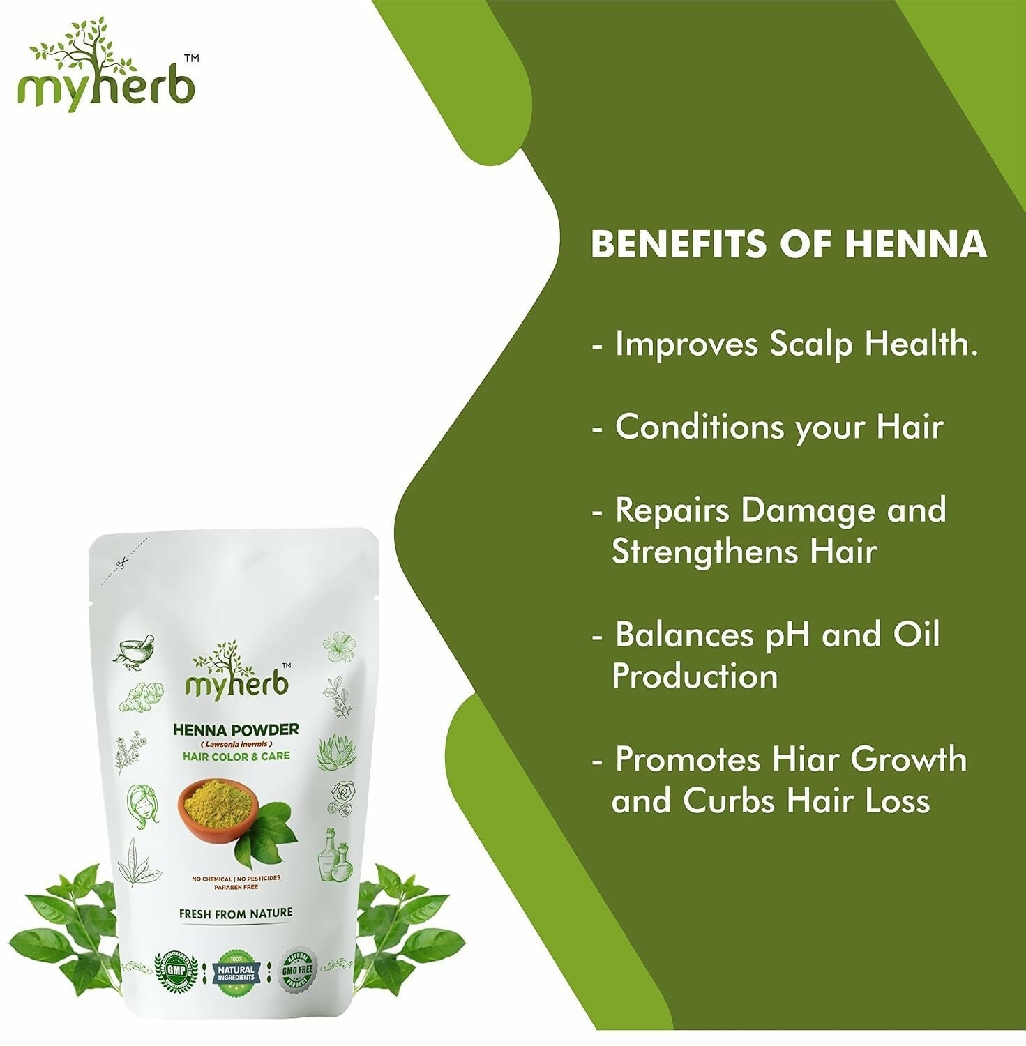 https://cdn.shopify.com/s/files/1/1857/6931/files/IxceA1gLbW.jpg?v=1726486779