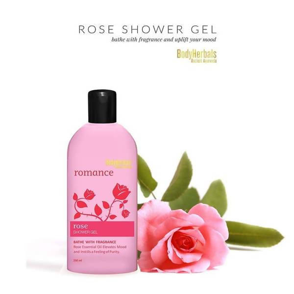 https://cdn.shopify.com/s/files/1/1857/6931/products/IybgJr4Qt1.jpg?v=1634638755