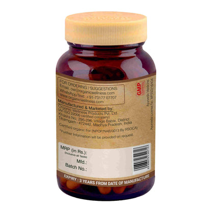 https://cdn.shopify.com/s/files/1/1857/6931/products/Iz2vk8a3yN.jpg?v=1690782877