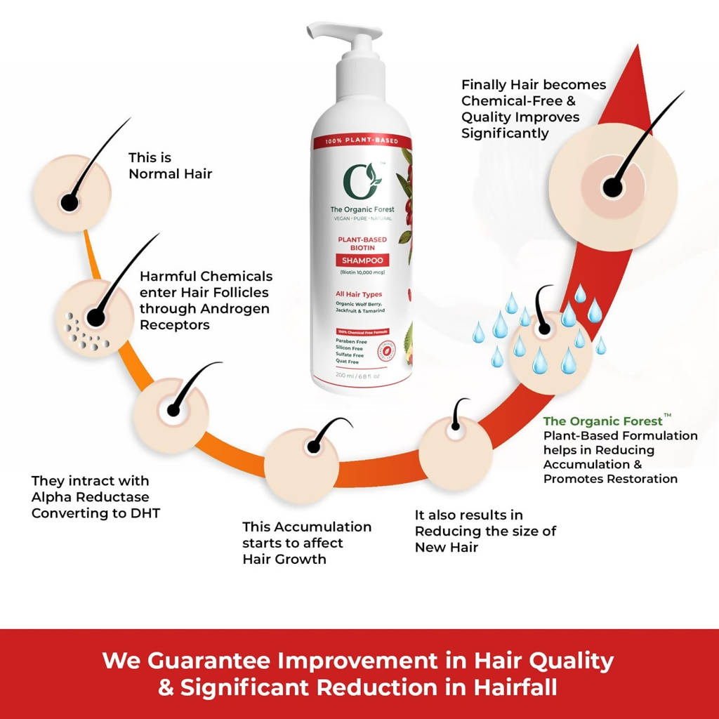 https://cdn.shopify.com/s/files/1/1857/6931/products/J6t1QYkcRO.jpg?v=1643018769