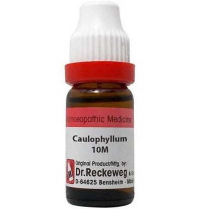 https://cdn.shopify.com/s/files/1/1857/6931/products/JAPV08volc.jpg?v=1657177657