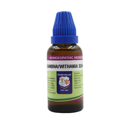 https://cdn.shopify.com/s/files/1/1857/6931/files/JB7uzJpwsQ.jpg?v=1716880383