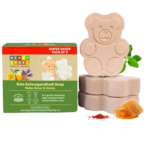 https://cdn.shopify.com/s/files/1/1857/6931/files/JBzlxiILzB.png?v=1784711763