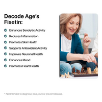 https://cdn.shopify.com/s/files/1/1857/6931/files/JGqjSlN4BJ.png?v=1724239958