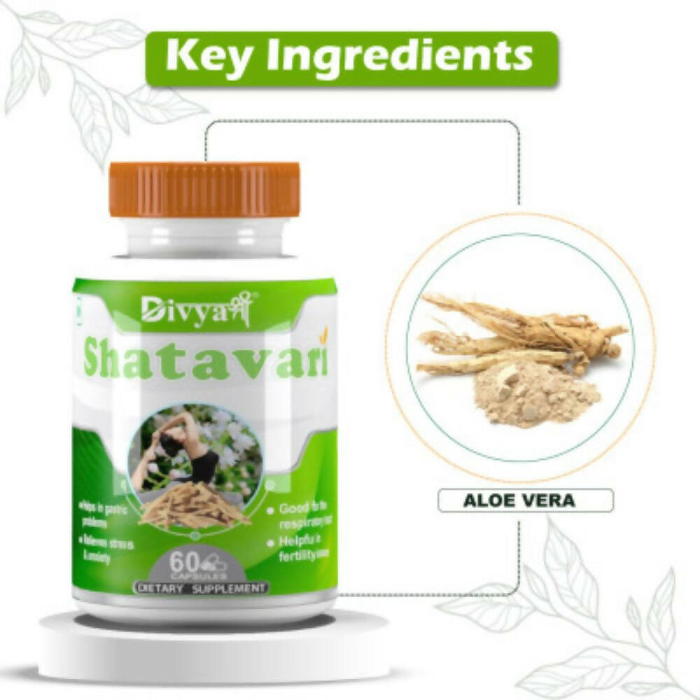 https://cdn.shopify.com/s/files/1/1857/6931/products/JGvoKg3WuQ.jpg?v=1672209703