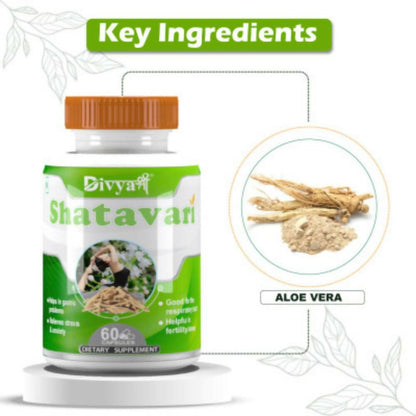 https://cdn.shopify.com/s/files/1/1857/6931/products/JGvoKg3WuQ.jpg?v=1672209703