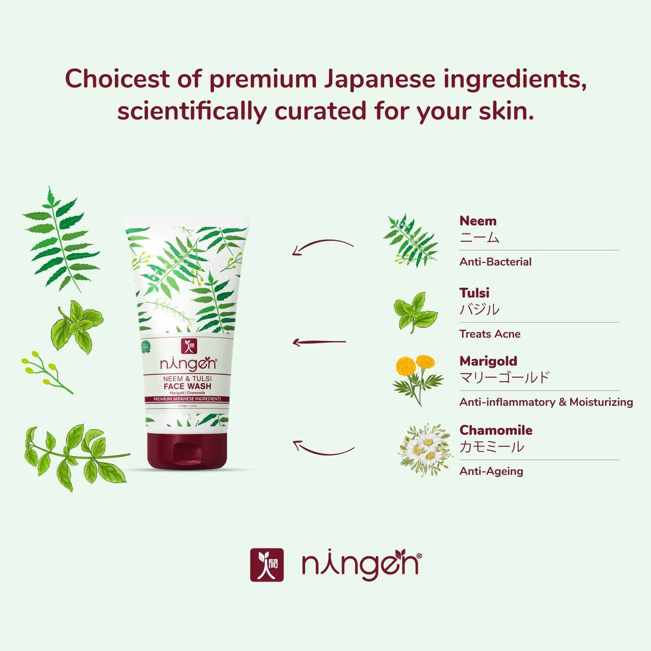 https://cdn.shopify.com/s/files/1/1857/6931/products/JIko7f5S3y.jpg?v=1666441324