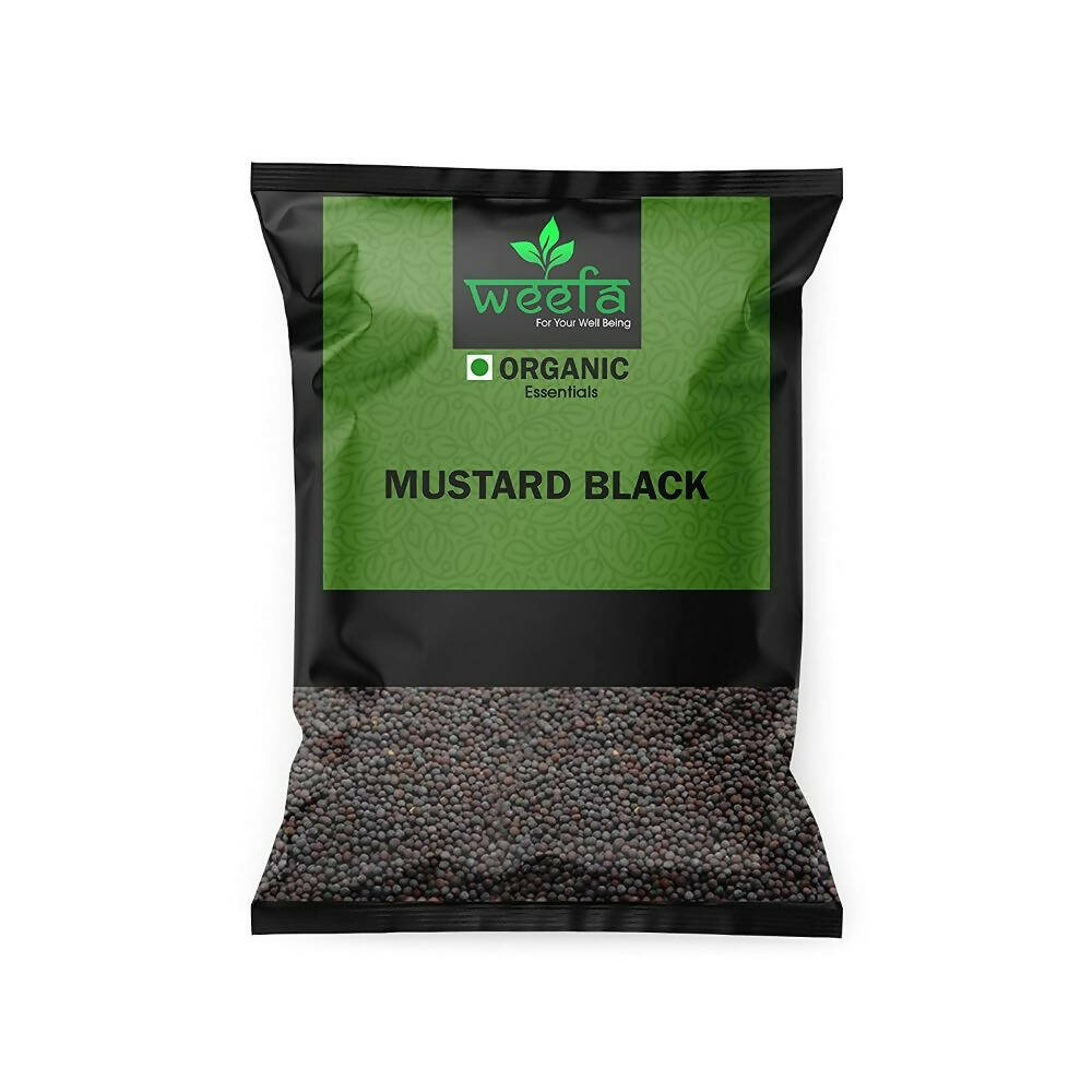 https://cdn.shopify.com/s/files/1/1857/6931/products/JIvyjgMinK.jpg?v=1669987100